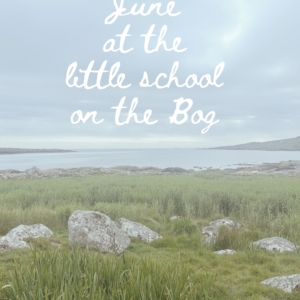 June at the little school on the bog has been a slow goer as we being to wind down homeschooling for the Summer. 
Plenty of outside time and consolidating projects / workbooks that are outstanding and a few days out mixed in! 
Highlights - hosting our homeschool group here for the first time for some German conversation. 
Update - we had our assessment at the start of the month, it was a lot of work and we are still waiting for the report and to see if we are good to continue homeschooling without any conditions so fingers crossed please! 
Goals for next month - we aren’t officially finishing until the end of July this year so going a bit longer with our studies. We need to wrap up the year groups we’re studying on Oak Academy for maths, finish our scrapbooks from May (yes there’s still a few pages to do to get ready for our next adventure!!) and do some past papers to consolidate some of our iGCSE learning this year.
We’ve got one more homeschool group adventure before we finish for summer too 😀 Hard to believe we are almost finished another school year already!
