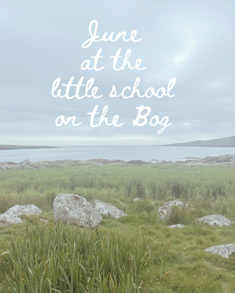 June at the little school on the bog has been a slow goer as we being to wind down homeschooling for the Summer. 
Plenty of outside time and consolidating projects / workbooks that are outstanding and a few days out mixed in! 
Highlights - hosting our homeschool group here for the first time for some German conversation. 
Update - we had our assessment at the start of the month, it was a lot of work and we are still waiting for the report and to see if we are good to continue homeschooling without any conditions so fingers crossed please! 
Goals for next month - we aren’t officially finishing until the end of July this year so going a bit longer with our studies. We need to wrap up the year groups we’re studying on Oak Academy for maths, finish our scrapbooks from May (yes there’s still a few pages to do to get ready for our next adventure!!) and do some past papers to consolidate some of our iGCSE learning this year.
We’ve got one more homeschool group adventure before we finish for summer too 😀 Hard to believe we are almost finished another school year already!