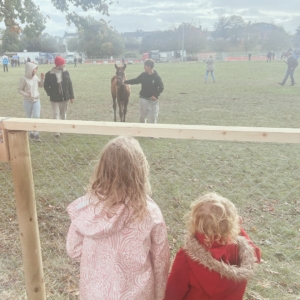 Moments of joy from October so far ; 
1) the last birthday of the year &amp; it’s miss Cora, our first Irish born baby and giver of the best hugs. 
2) the waffle maker is out of retirement &amp; churning out hot breakfasts daily. Buy shares in Lidls version of Nutella folks - prices are set to rise now it’s back in action and we’re getting through one jar per sitting. 
3) a trip to Europes oldest horse fair, Ballinasloe,  where Napoleon himself once purchased a noble steed upon which he pillaged many countries. A noble steed of our own was also purchased (see next pics!) alongside €30 worth of chip van chips. Perhaps if napoleon did the same he wouldn’t have been such a twat. 
4) Truth
5) Homeschool meet ups have got me through some really tough times this month . Coffee in the pub while your kids socialise &amp; you get 2 hours of free therapy is a parenting win. 
6)sheer joy at turning 15 and getting to buy your first baby horse - not pictured the part where both child and horse came home in a strangers jeep with a new lead rope and a tenners luck money. This is the stuff childhood memories are made of. 
7) a recently discovered photo of Mathilda Hermina Henrietta Specketer meine Ururgroßmutter / Große große großmutter (one of those is right but I’m not sure which one) in London als Tochter deutscher Einwanderer geboren (I wonder if the new Ai tool will auto translate that for some of my followers!) 
8) going back to 2004 and collecting stickers for my laptop. Professional? Probably not. Cool? Also probably not but all sticker donations welcome! 
9) not pictured but I’m obsessed with the song playing here / whole album which also gives me mega 2004 skinny jean &amp; Smokey eye vibes &amp; is great played loud in the kitchen while the waffle maker is heating up! 
.
.
#thisishowweHE #largefamilylife #ukhomeschooling #irishhomeschooling #lotsofkids