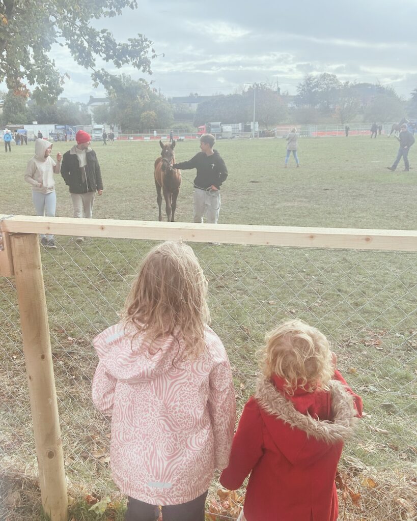 Moments of joy from October so far ; 
1) the last birthday of the year & it’s miss Cora, our first Irish born baby and giver of the best hugs. 
2) the waffle maker is out of retirement & churning out hot breakfasts daily. Buy shares in Lidls version of Nutella folks - prices are set to rise now it’s back in action and we’re getting through one jar per sitting. 
3) a trip to Europes oldest horse fair, Ballinasloe,  where Napoleon himself once purchased a noble steed upon which he pillaged many countries. A noble steed of our own was also purchased (see next pics!) alongside €30 worth of chip van chips. Perhaps if napoleon did the same he wouldn’t have been such a twat. 
4) Truth
5) Homeschool meet ups have got me through some really tough times this month . Coffee in the pub while your kids socialise & you get 2 hours of free therapy is a parenting win. 
6)sheer joy at turning 15 and getting to buy your first baby horse - not pictured the part where both child and horse came home in a strangers jeep with a new lead rope and a tenners luck money. This is the stuff childhood memories are made of. 
7) a recently discovered photo of Mathilda Hermina Henrietta Specketer meine Ururgroßmutter / Große große großmutter (one of those is right but I’m not sure which one) in London als Tochter deutscher Einwanderer geboren (I wonder if the new Ai tool will auto translate that for some of my followers!) 
8) going back to 2004 and collecting stickers for my laptop. Professional? Probably not. Cool? Also probably not but all sticker donations welcome! 
9) not pictured but I’m obsessed with the song playing here / whole album which also gives me mega 2004 skinny jean & Smokey eye vibes & is great played loud in the kitchen while the waffle maker is heating up! 
.
.
#thisishowweHE #largefamilylife #ukhomeschooling #irishhomeschooling #lotsofkids